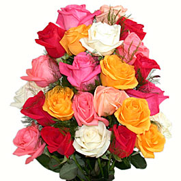 24 Mixed Roses